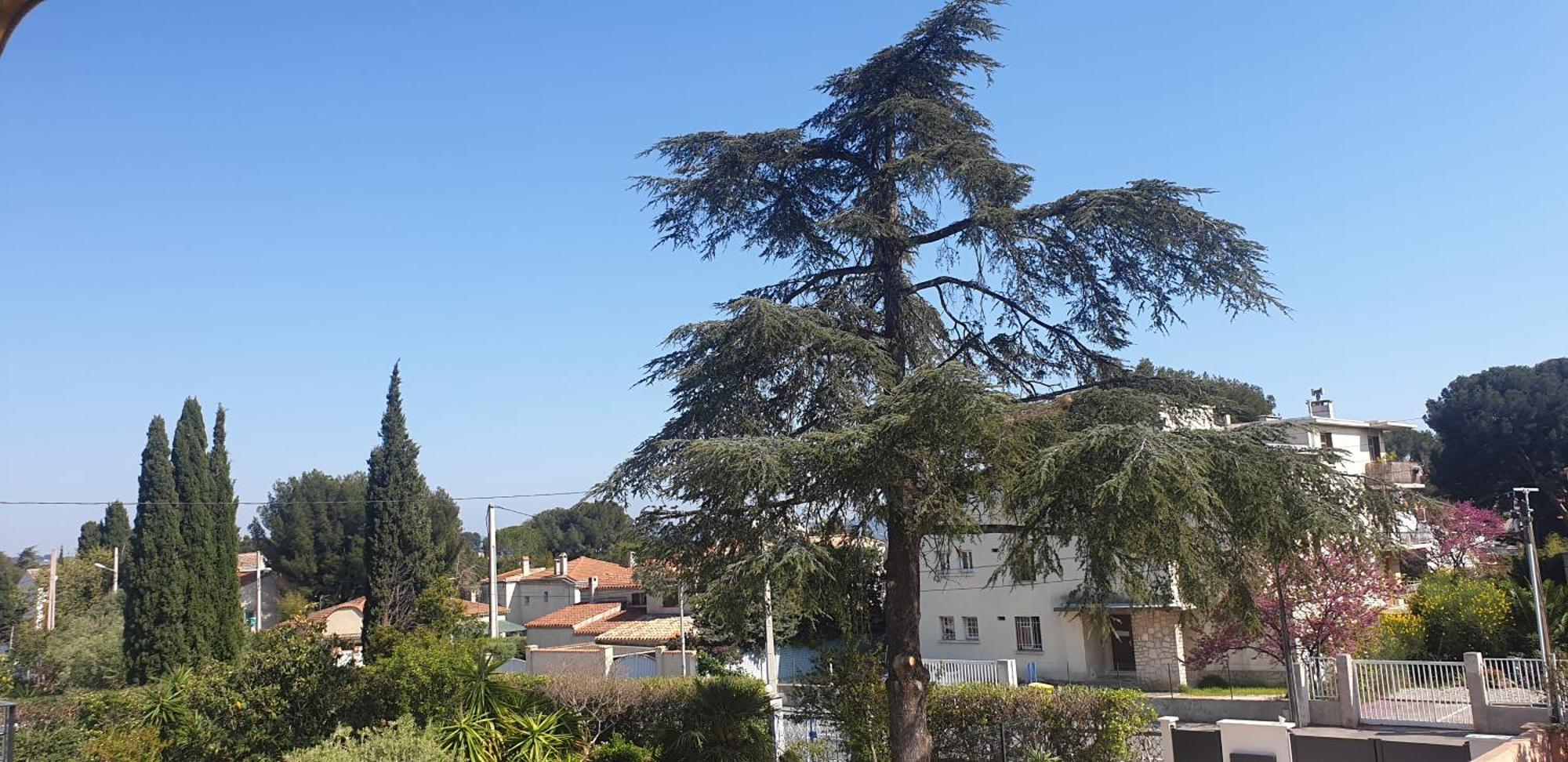 Les Vagues Bleues Apartment La Ciotat Exterior foto
